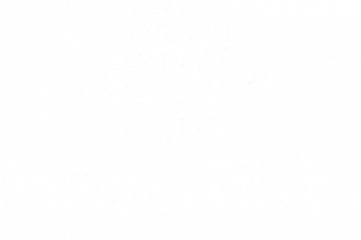 Lotus Evolved – Innovation In Bloom